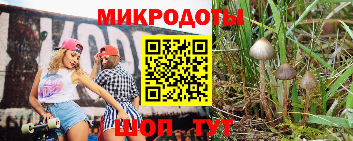 Шахты  Галлюциногенные грибы Psilocybe  Вход с VPN 