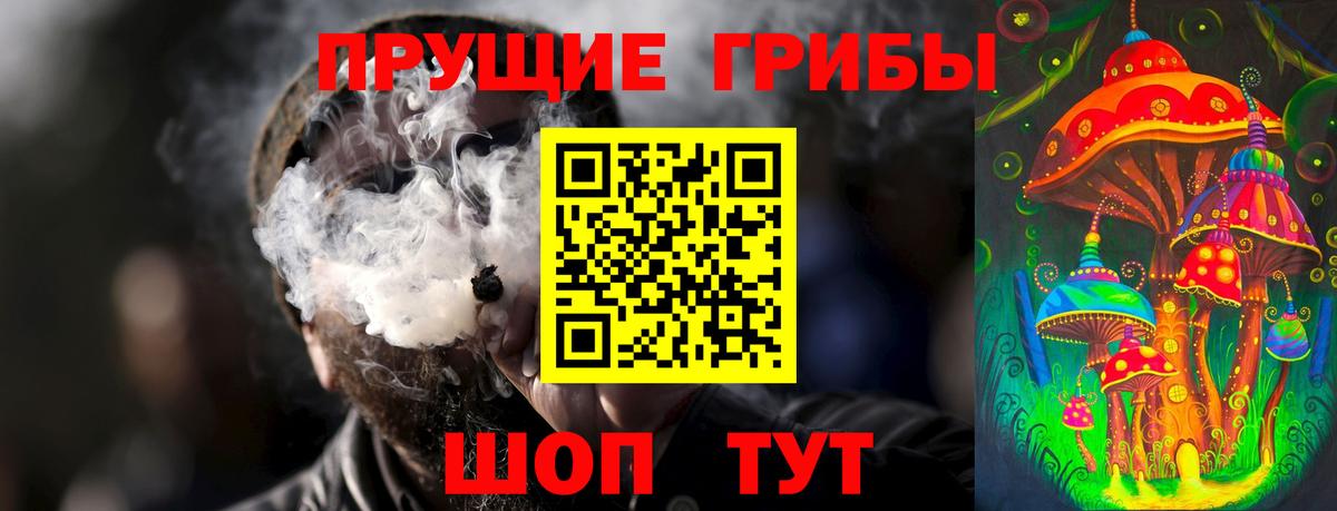 Псилоцибиновые грибы GOLDEN TEACHER Шахты